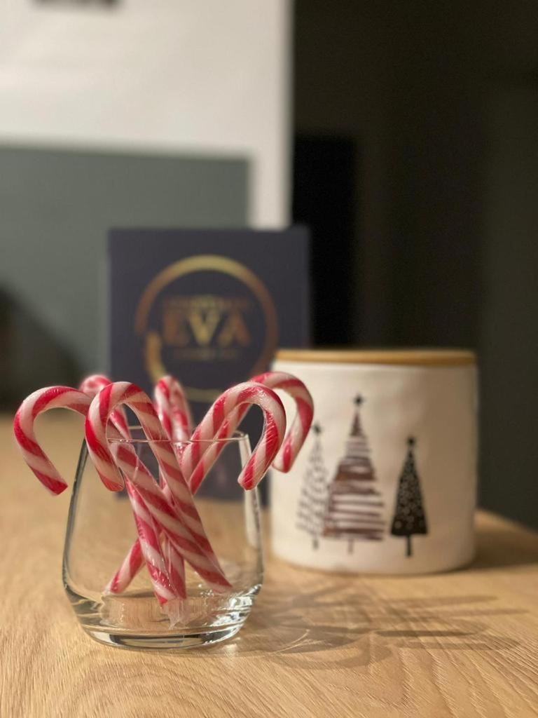 Apartment Eva, Moderan Stan U Srcu Zagorja